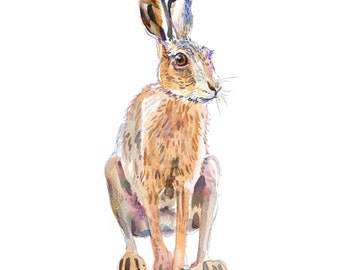 Hare 2 - size 8x10in  - Watercolor  Painting - Animal Art Print