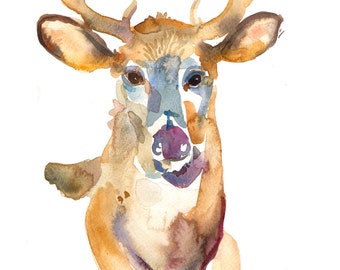 Cerf - taille (8 x 10 po - aquarelle - peinture animalière - impression d'art cerf