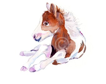 Foal - Baby Horse  - Watercolor painting -  Animal Art - size  8x10inches  - Watercolor  Art- Nursery Art Print