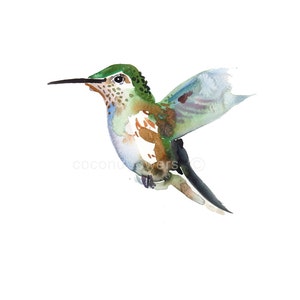 Hummingbird 3 - Animal Painting - Size 8x10in  - Watercolor Painting - Art Print - Nursery Art