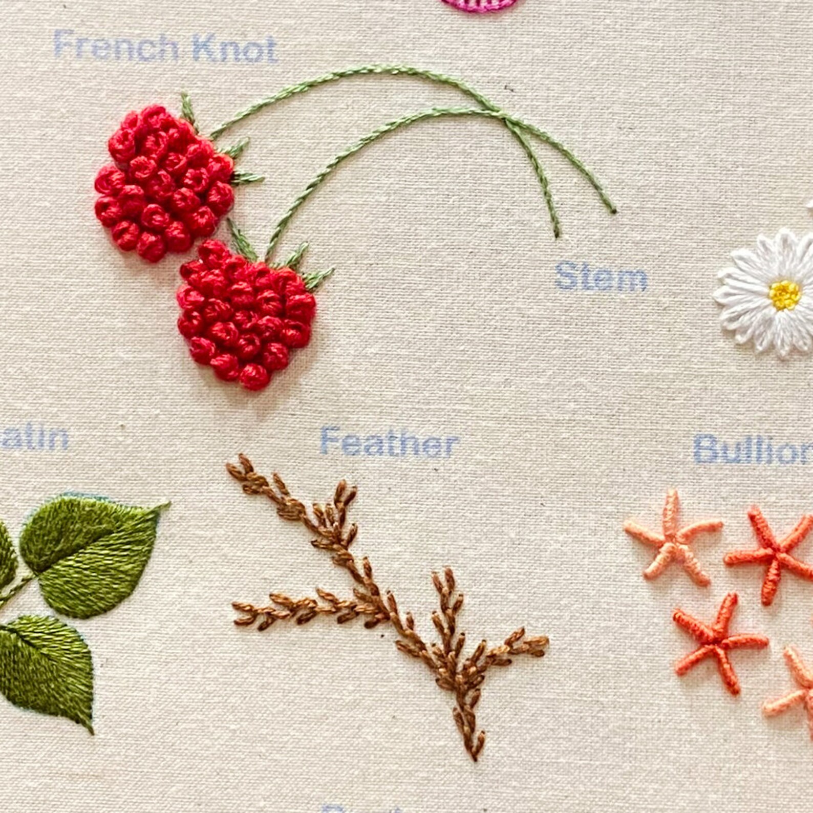 Instant Download Embroidery PDF - Beginner Embroidery Stitch Kit-learn ...