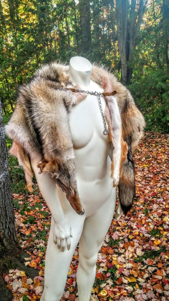 Coyote Pelt Shoulder Mantle Fur Shrug Leather Costume Grade A Ethically Sourced