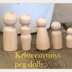 Set of 5 family*BLANK* peg dolls