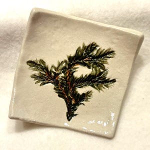 May include: A white ceramic dish with a green and brown pine branch design.