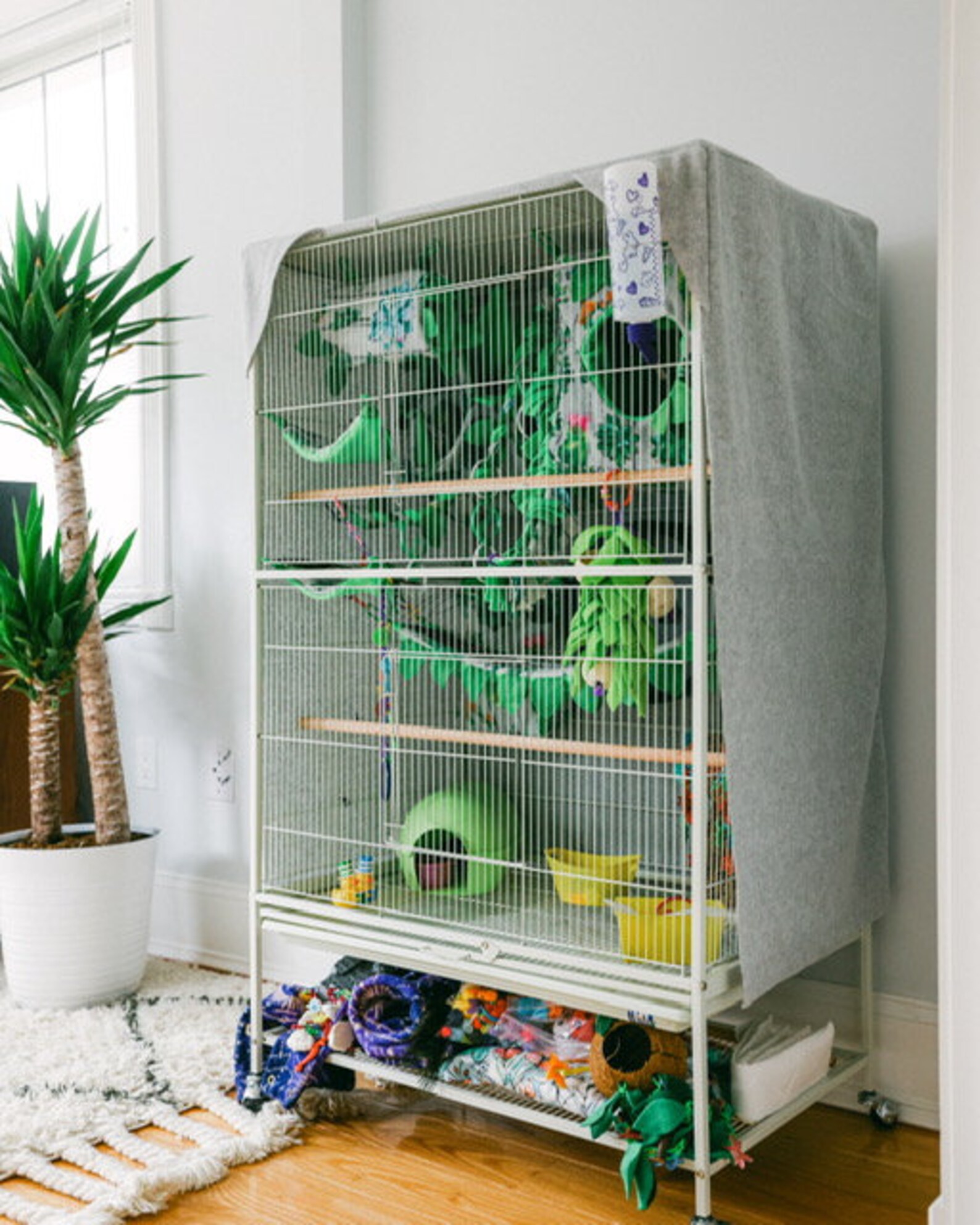 Custom Brisbane Sugar Glider Cage Cover Etsy