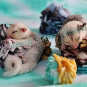 Sugar Glider Fleece Pom-Pom Toys