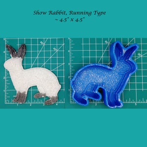 May include: A blue plastic mold of a rabbit running, measuring approximately 4.5 inches by 4.5 inches. A white rabbit made of a material that looks like plaster is shown next to the mold.