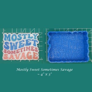 May include: A blue silicone mold for making a resin or polymer clay charm. The mold is shaped like a rectangle with rounded corners and features the text "Mostly Sweet Sometimes Savage" in a colorful, stylized font. The mold measures approximately 4 inches by 3 inches.