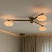 see more listings in the Ceiling Fixture section