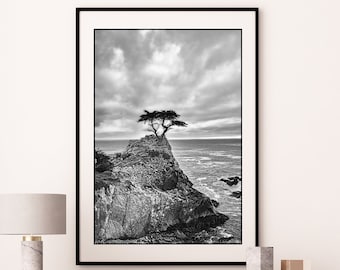 Black and White Cypress Tree Seascape Photograph – Coastal Wall Art