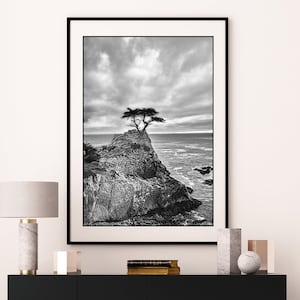 Black and White Photography - tree Pacific ocean 20x30 coastal landscapes 16x20 tree pictures 11x14 tree photography large wall art "Never"