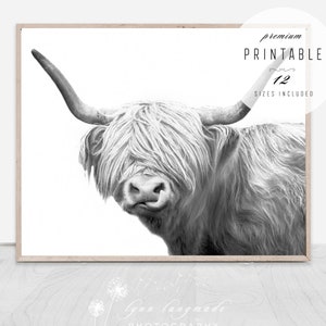 Highland Cow Print - Black and White, Highland Cow Art, Printable Wall Art, Boho Wall Decor, Cute Animal Print Nursery Wall Art, Cow Horns