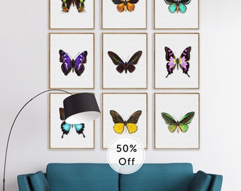 Butterfly Gifts - Butterfly Prints, SET of  9 Real Rainbow Butterflies, Framed Wall Art, Gallery Wall, Rainbow kids room, Insect Art, 11x14