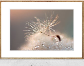 Fotografía de flores - fotografía de diente de León, azul, naranja, decoración de la pared, lluvia de primavera, gotas de lluvia, estampados de paredes de flores, decoración del hogar - "Diamond Life"