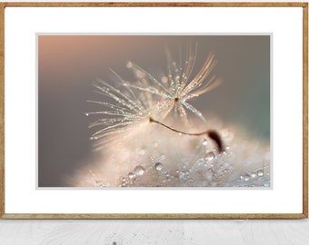 Flower Photography - dandelion photograph, blue, orange, wall decor, spring rain, raindrops, flower wall prints, home decor - "Diamond Life"