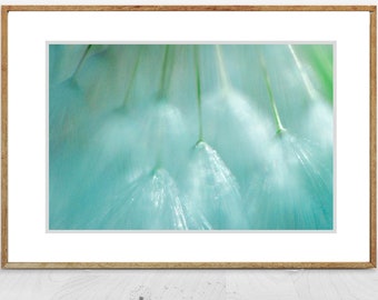 Blue Dandelion Art - soft dandelion seeds 8x12 prints 24x36 large wall art dandelion photography 16x24 foyer wall decor flowers "Blue Mist"