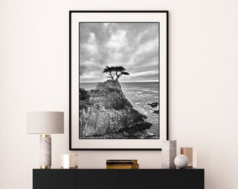 Black and White Photography - tree Pacific ocean 20x30 coastal landscapes 16x20 tree pictures 11x14 tree photography large wall art "Never"