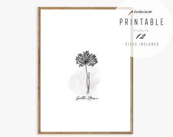 Botanical Art Prints - Wall Art Printable, Botany Art Prints, Black and White Line Art, Minimalist Art Print, Floral Wall Art, Botanical Art