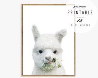 Llama Print - Alpaca Print, Nursery Print, Alpaca Gifts, Printable Animal Art, Animal Lovers Gift, Llama Gift, Printable Wall Art Cute Llama