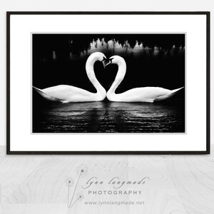 Paris Black and White - swans Paris Versailles prints swan print heart love romantic  8x10 11x14 16x20 bedroom wall decor &quot;Sweethearts II&quot;