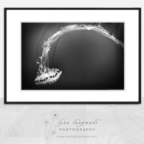 Black and White Photography - black and white spotted  jellyfish, ocean, sea, beach home decor, jellyfish wall prints - "Flow"