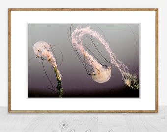 Pink Jellyfish Print - purple jellyfish photography 8x10 print 11x14 purple jellyfish art 16x20 bathroom decor underwater "Water Ballet"