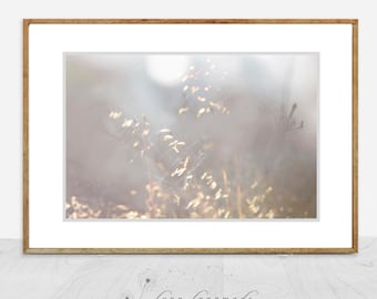 Winter Photography - gold grass in winter sun, yellow and gray wall art nature photography grass print 8x10 gray wall decor 11x14- "Remains"