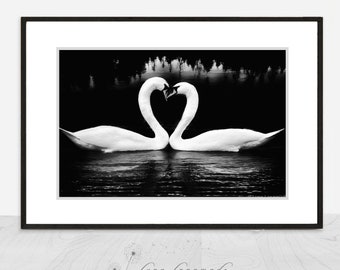 Paris Black and White - swans Paris Versailles prints swan print heart love romantic  8x10 11x14 16x20 bedroom wall decor "Sweethearts II"