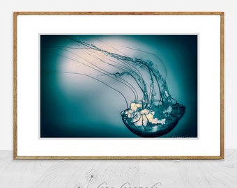 Jellyfish Photography - upside down jellyfish, blue jellyfish, ocean, sea, sea life, blue decor, jellyfish wall prints, home decor, "Plunge"