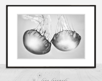 Black and White Photography - jellyfish photograph, black and white jellyfish, ocean, sea, beach home decor, jellyfish prints - "Soul Mates"