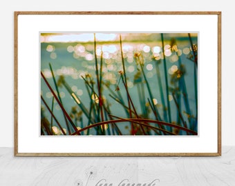 Teal Botanical Photography - reeds teal lake yellow bokeh lights bathroom wall decor 11x14 8x10 prints 16x20 large wall art "A Place for Us"