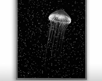 Sea Life Print - Black and White Jellyfish, Crystal Jellyfish, Extra Large Wall Art 40x60, Office Wall Art, House Decor 20x30, Space Theme