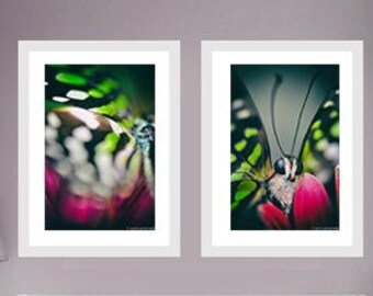 Butterfly Nursery Print Set - Set of 2 photos pink green butterfly 2 prints 8x10 nature photography 11x14 nursery wall decor insect wall art