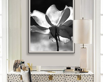 Rose Print Black and White - rose wall art 20x30 white rose, 8x10 flower prints, gift for her, foyer decor, canvas art 20x24  "Incandescent"
