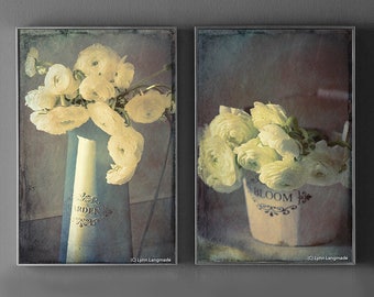 Shabby Chic Print Set - Set of 2  cream ranunculus art flowers cottage decor still life photography 8x10 prints 16x20 gray bedroom art 5x7