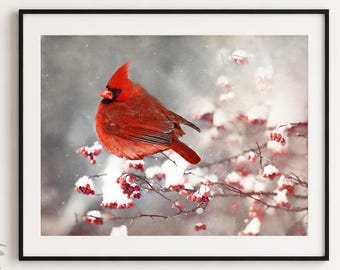 Red Cardinal Winter Snow Landscape Photography Print – Christmas Carol Art