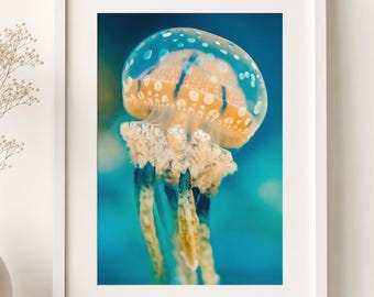 Underwater Photography - orange spotted jellyfish underwater ocean print jellyfish art teal blue wall decor 5x7 8x10 11x14 16x24 "Side Kick