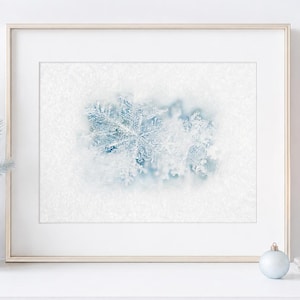 Fotografía invernal de copos de nieve azules – Decoración navideña de bellas artes
