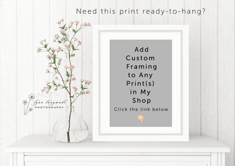 May include: A white framed print with the text "Add Custom Framing to Any Print(s) in My Shop". A clear glass vase holds a flowering branch with pink blossoms. The image is on a white surface.