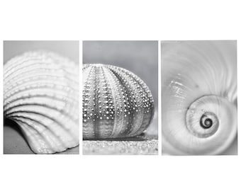 Shell Prints- set of 3 black and white prints 5x7 bathroom wall decor 8x12 seashell art gray shell photography 4x6 print set sea urchin