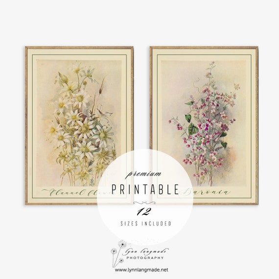 Kitchen Print Set Vintage Kitchen Prints Printable Set of 2 | Etsy
