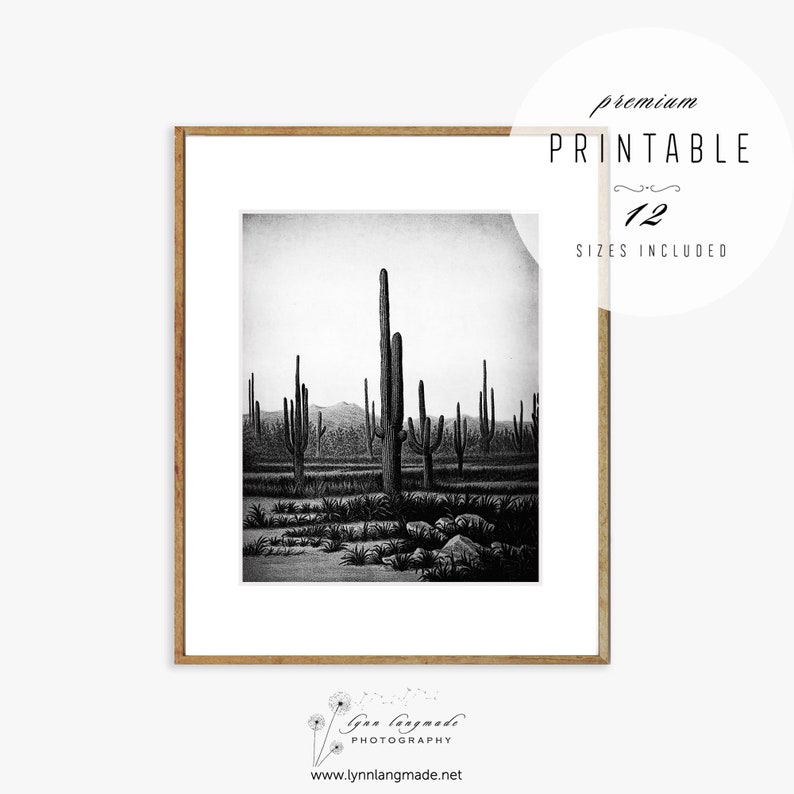 Cactus Wall Decor Black and White Cactus Print Southwestern Etsy