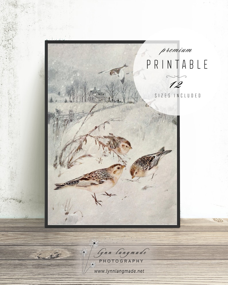 Sparrow Print Printable Sparrow Wall Art Bird Wall Art - Etsy