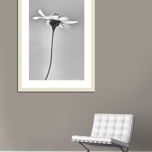 Black and White Botanical Print Wildflower Art Gray Bathroom Wall Decor ...