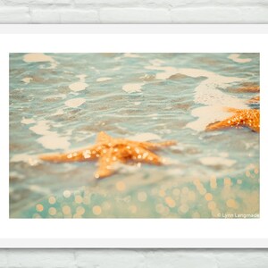 Starfish Photography orange starfish ocean underwater beach photography 11x14 8x10 coastal wall art starfish photo 16x20 Skinny Dippin image 3