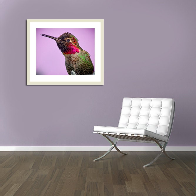 Hummingbird Photography Hummingbird Closeup Purple Baby | Etsy