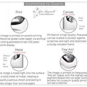 Op de afbeelding: Een informatieve afbeelding met de tekst 'Committed to Quality' en 'Gun Langmade Photography'. Het toont afdrukopties: Print, Canvas, Metal en Fine Art/Gicl&eacute;e, en beschrijft materialen en kenmerken.