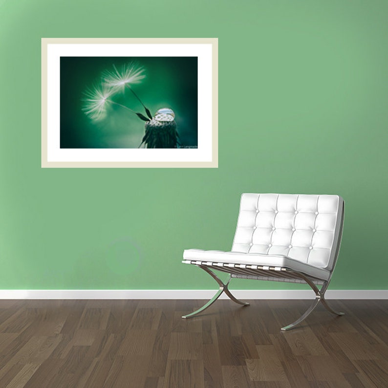 Flower Photography dandelion seeds raindrops green decor nature photography flower wall art dandelions white flowers print Holding On image 4