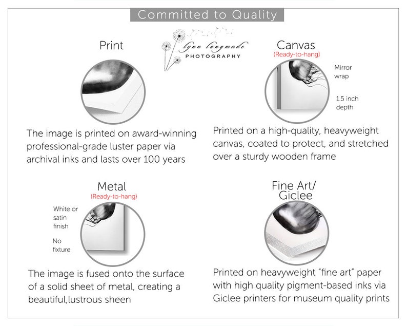 Puede incluir: Gr&aacute;fico informativo que muestra opciones de impresi&oacute;n: impresi&oacute;n, lienzo, metal y bellas artes/gicl&eacute;e. Cada opci&oacute;n se describe con detalles sobre los materiales y los procesos de impresi&oacute;n utilizados. El texto incluye "Committed to Quality" y el nombre del fot&oacute;grafo.