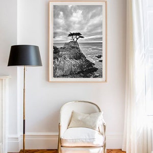 Black and White Photography tree Pacific ocean 20x30 coastal landscapes 16x20 tree pictures 11x14 tree photography large wall art Never image 2